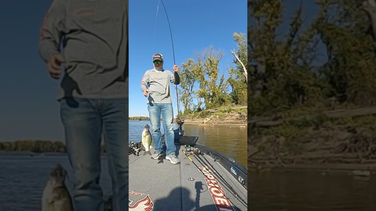 Crappie Flipping A Bass Jig! 