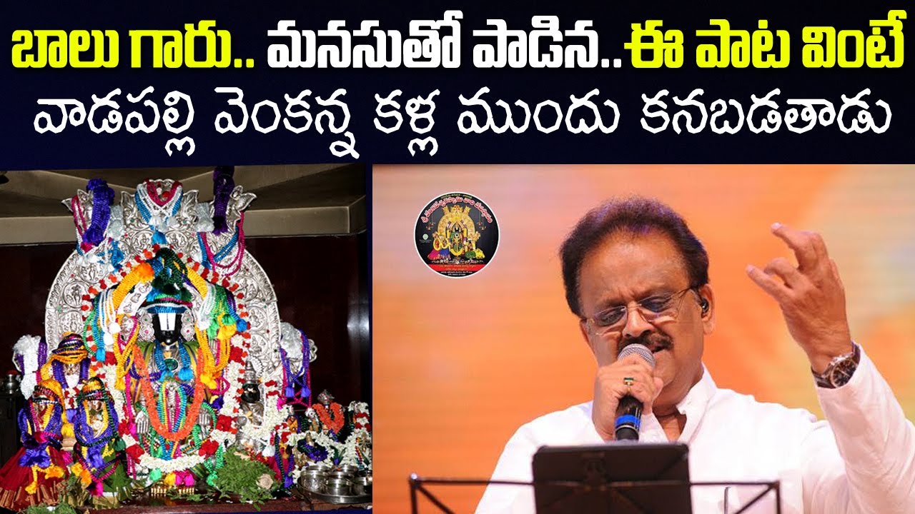 బాలు గారు మనసుతో పాడిన.. ఈ పాట వింటే..వాడపల్లి వెంకన్న కళ్ళ ముందు కనబడతాడు | SP BALU | EO VADAPALLI