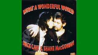 Nick Cave &amp; Shane MacGowan &quot;What a Wonderful World&quot; (1992) | MP3