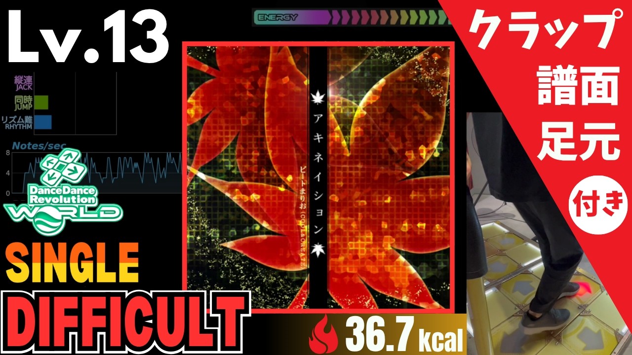 DDR WORLD】Lv.13 アキネイション / ビートまりお(COOL&CREATE)（DSP