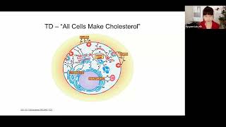 3. TD: "All cells make cholesterol."