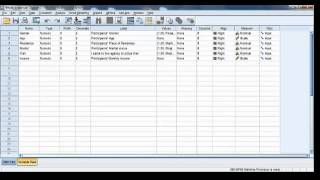 Descriptive statistics in SPSS part 1