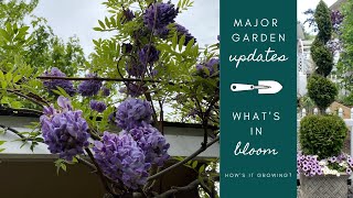 Major Garden Updates | Tour of Plants in Bloom 🌿 How's It Growing?