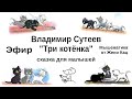 Три котёнка. Сказка В. Сутеева для малышей. Играем с буквами с Женей Кац