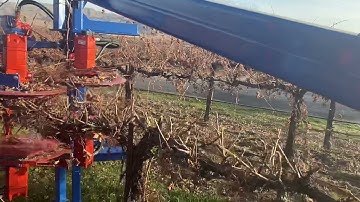 Vmech Dual Precision Pruner