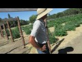 Grow Marijuana: Two-acre Cannabis Farm!