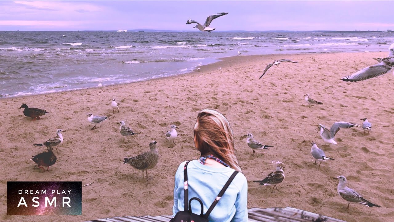 ★ASMR★ entspannter STRAND Spaziergang an der Ostsee | Dream Play ASMR
