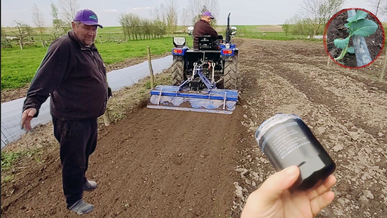 Пробило Прокладку, закупили запчастин на Трактор. Шабашки, Ціна ...