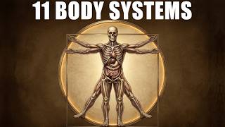 The HUMAN BODY SYSTEMS Rap | Organ Systems Explained | Science Song