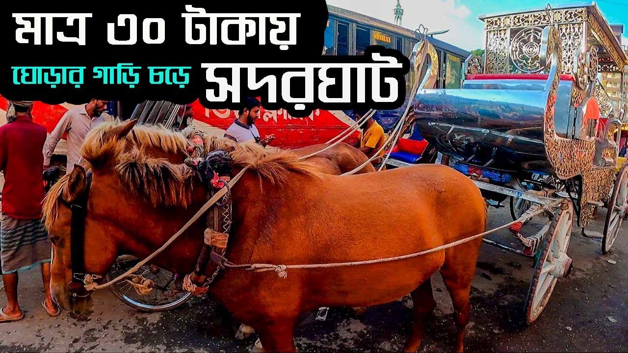 মাত্র ৩০ টাকায় ঘোড়ার গাড়ি দিয়ে গুলিস্থান - সদরঘাট | Gulistan to Sadarghat Horse-drawn carriage ride