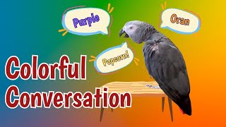 Colorful Conversations: Einstein Parrot's Playful Exchange