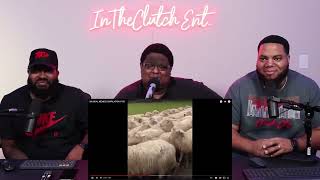 UNUSUAL MEMES COMPILATION V183 TRY NOT TO LAUGH
