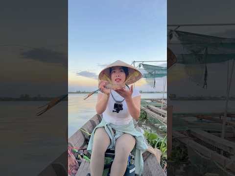Câu tôm trên ghe ở sông Tiền  #vyhanfishing #fishing #caucavatrainghiem #cautom