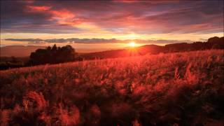 Grandyzer - Idealize