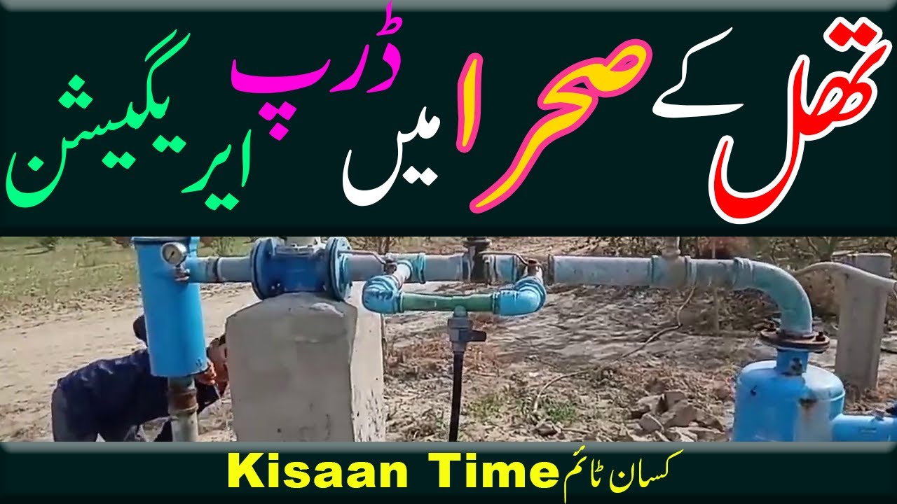 Drip irrigation system in Pakistan Installation Drip irrigation working