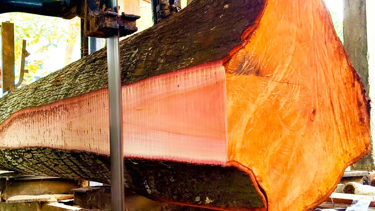 Inside the largest wood processing plant - How boards are made From big ...