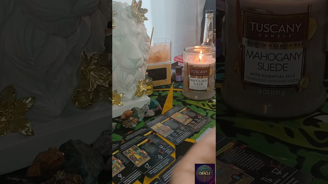 Они на собственном горьком опыте понимают, что играть с тобой в игры совершенно не стоило.