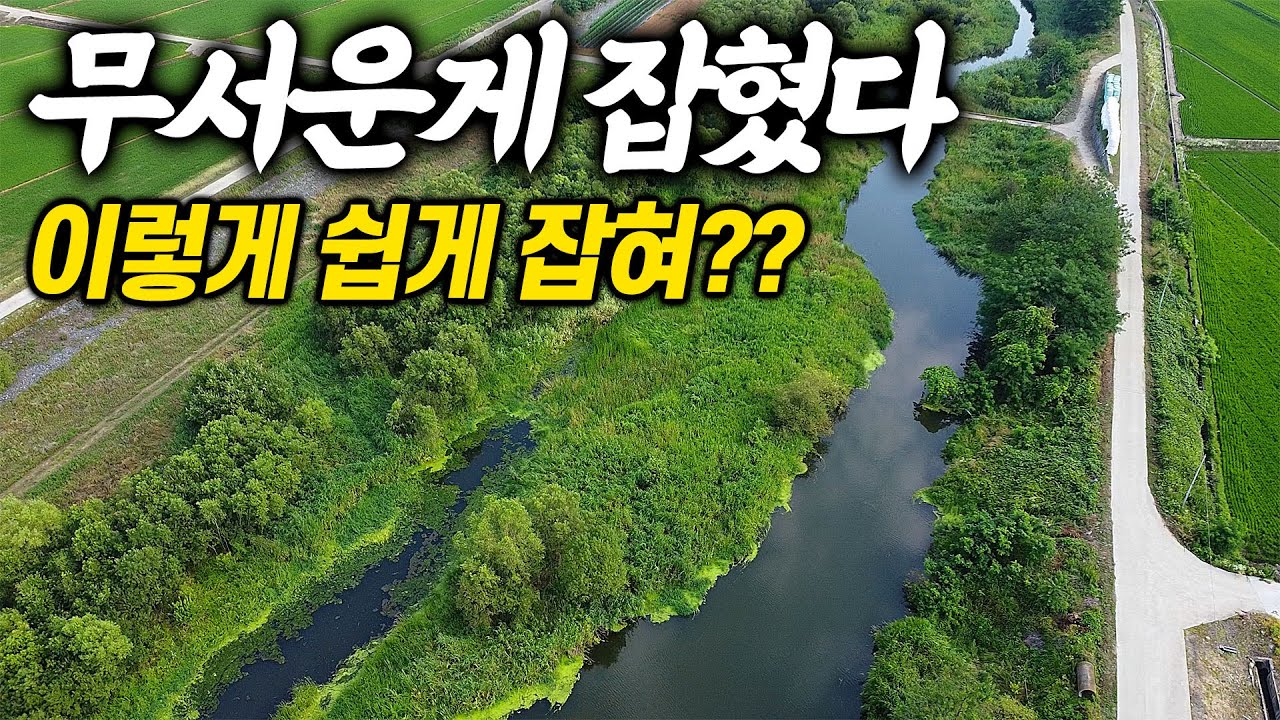 잡히지 말아야 할 무서운 녀석이 잡혀버리다니 무슨일이야?