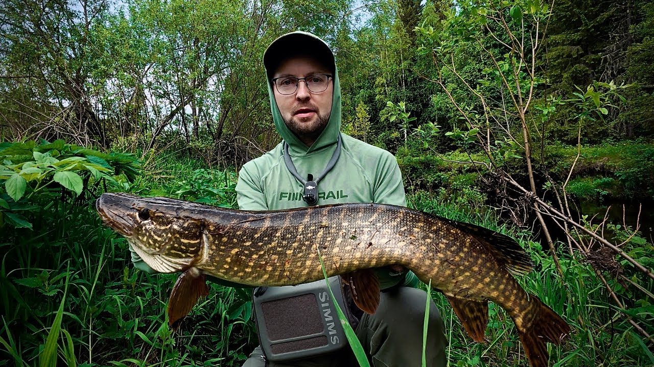 НАШЕЛ ЩУЧЬЕ ЛОГОВО на КРАСИВОЙ ЛЕСНОЙ РЕЧКЕ / РЫБАЛКА на СПИННИНГ