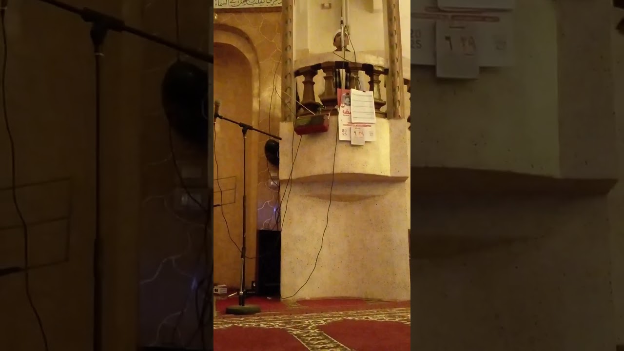 ٢٩ الشيخ محمد أحمد محمد