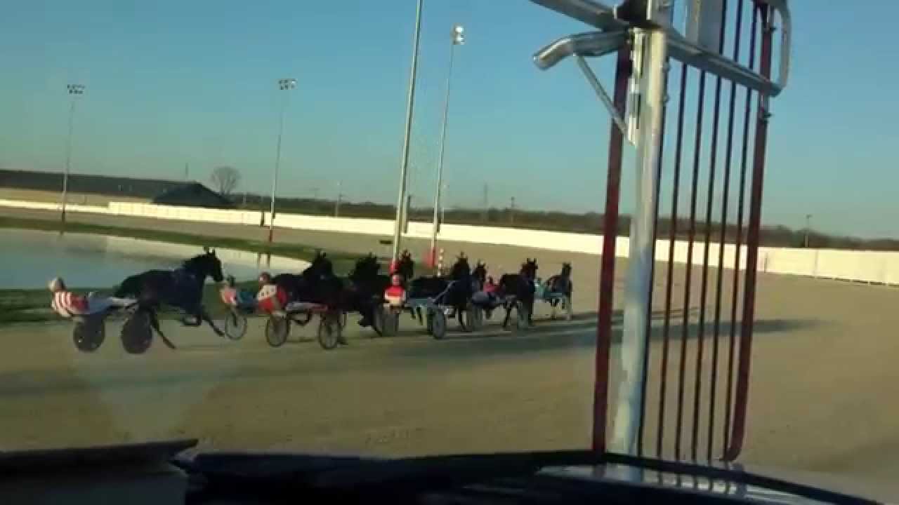 Harness Racing on the Track Video YouTube