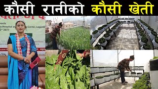 कौसी रानीको कौसी खेती ! - Roof top vegetable farming of Kausi Queen 2077 - Bhagawati Shrestha