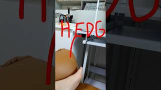 Hedgbearz ABC Bug Safari Offical