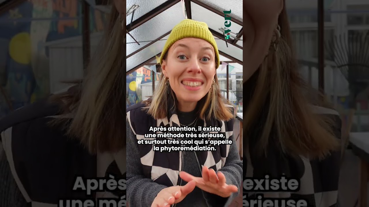 Une plante qui dépollue à elle seule ton salon, ça n'existe pas !