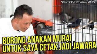 Answering the Challenge of Bird Singing Mania, Mr. Prio Buys Up Trotol to Be Groomed to Become a ...