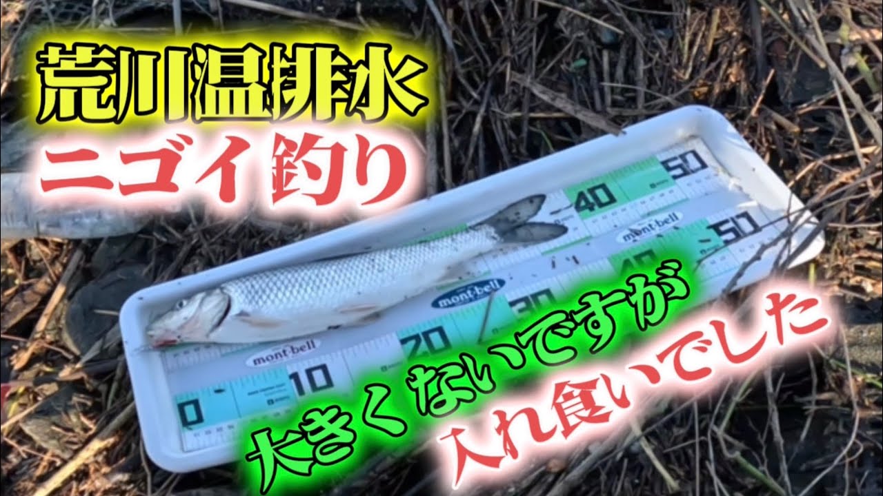 ［埼玉県荒川温排水］メタルジグだけでこのサカナなら入れ食いで釣れます