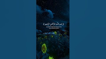 عبدالرحمن مسعد 🤍🎧|راحة نفسية 🥺|قرآن كريم ✨