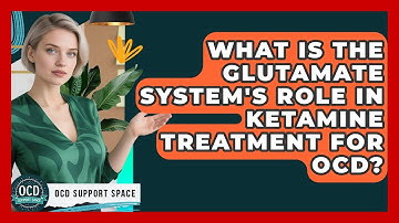 What Is The Glutamate System