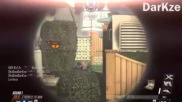 Team Royal 100 Subscriber Teamtage!