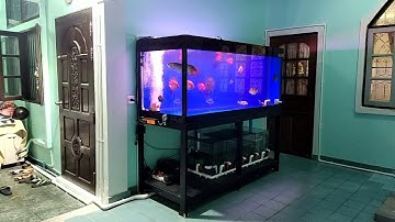 Add Police - เคลื่อนย้ายตู้ปลา 72" + ทำ Overflow FS (ตู้มีปลา) Set 4