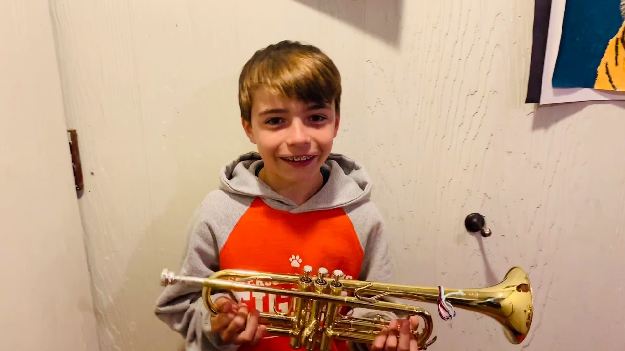 Emerson-Williams: Virtual Instrument Petting Zoo!