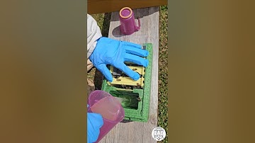 How to Make a Mini Mating Nuc for Queen Rearing | Step-by-Step Beekeeping Tutorial 🐝👑 #bee #queen