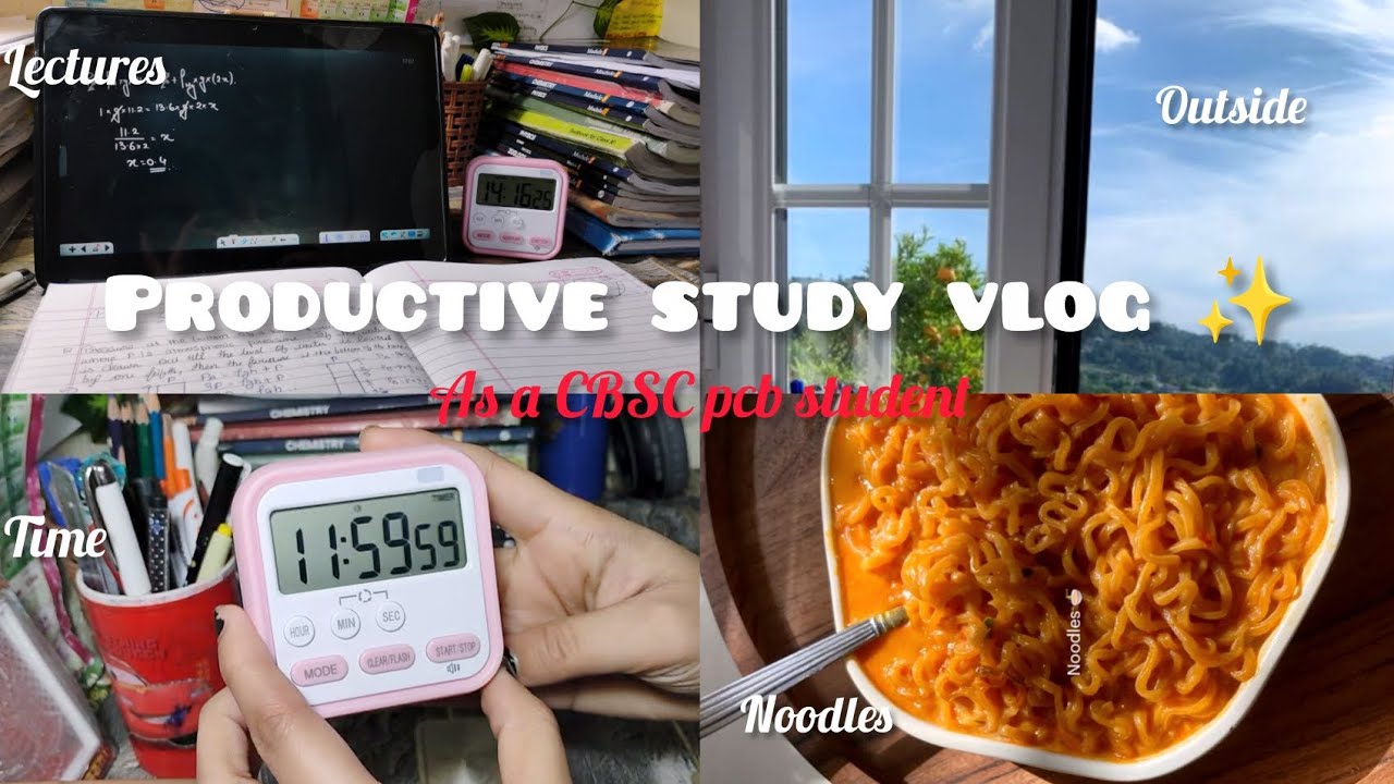 Productive 🎯 study vlog ✨📑 as a CBSE 11th grader..|study📒📝 vlog |neet aspirant| CBSC pcb student📝