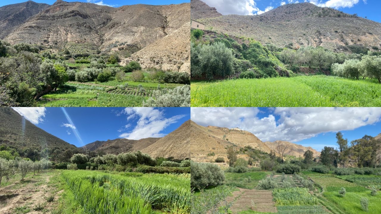 القرية الجميلة بوعلما في قبيلة ايت توزين، هنا الإنتماء