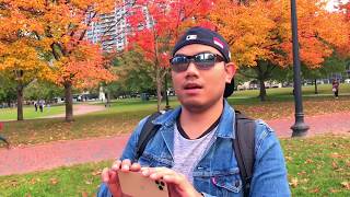 iphone 11 MAX PRO footage 4K 60fps front and back camera test.