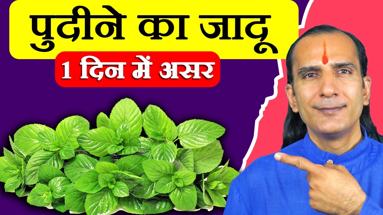 पुदीने के फायदे - Pudina Ke Fayde - Pudine Ke Patte Ke Fayde - Mint Leaves Benefits In Hindi
