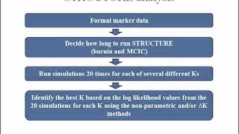 The Use of STRUCTURE Software for Mapping Bacterial Spot Resistance in Tomato