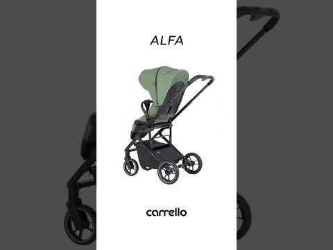 Дитяча прогулянкова коляска сіра Carrello Alfa CRL-5508 BF Feather Grey з чорним чохлом на ніжки, безкоштовна доставка, видео 1