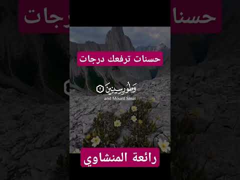 تلاوة نادرة من سورة التين للشيخ الباكى محمد صديق المنشاوي رحمه الله حسنات ترفعك درجات المنشاوي