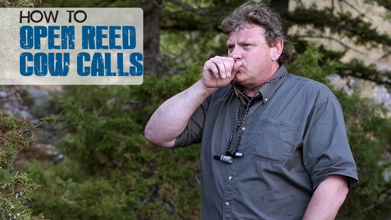 How to Use Open Reed Cow Calls Dieter Kaboth YouTube