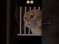 مالي خلق احط هاشتاج اكسبلور ترند 