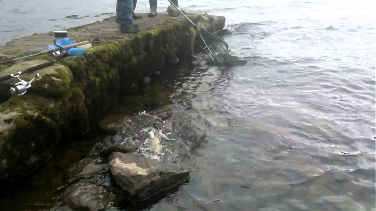 loch earn fishing trip - YouTube