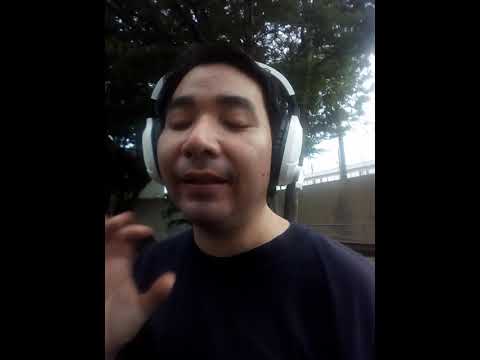 Viaje al Castillo de Kakegawa #04 | La comida no estuvo mal pero el viaje al Castillo una mierda!