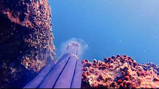 B Daniel Single Invert 85 In The Hands Of A Professional Nikolas Anagnostou