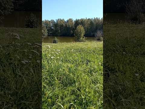 ЗАГОРАЮ НА ЛУЖАЙКЕ
