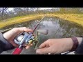 Super Shallow Water Fishing For Backwater Giants! (Big Bass)